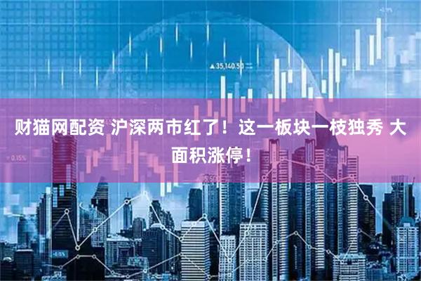 财猫网配资 沪深两市红了！这一板块一枝独秀 大面积涨停！