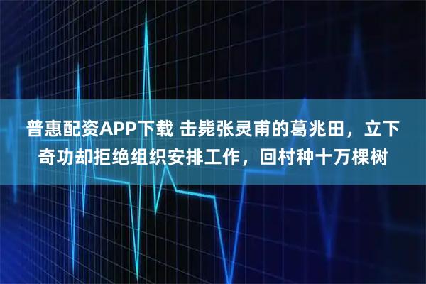 普惠配资APP下载 击毙张灵甫的葛兆田，立下奇功却拒绝组织安排工作，回村种十万棵树